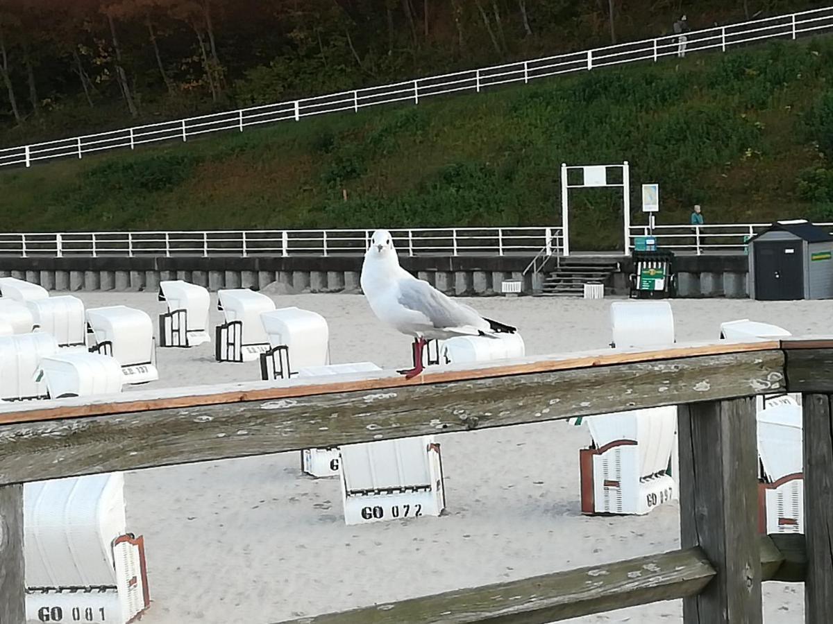 Sellin - Seedorf Am Neuensiener See Apartment 08 Zewnętrze zdjęcie